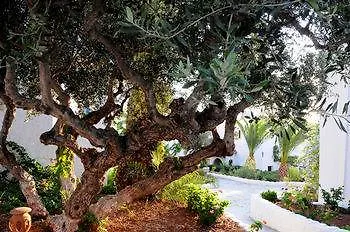 Village Hotel Hersonissos (Crete)